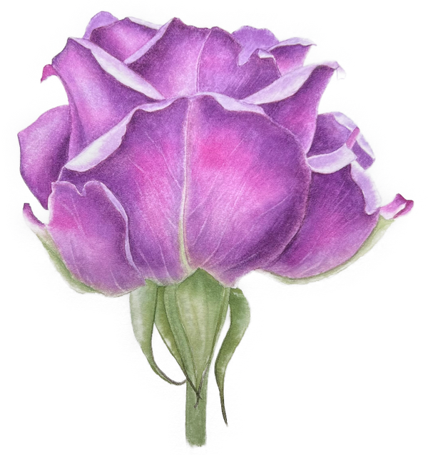 Grimaldi Botanicals logo