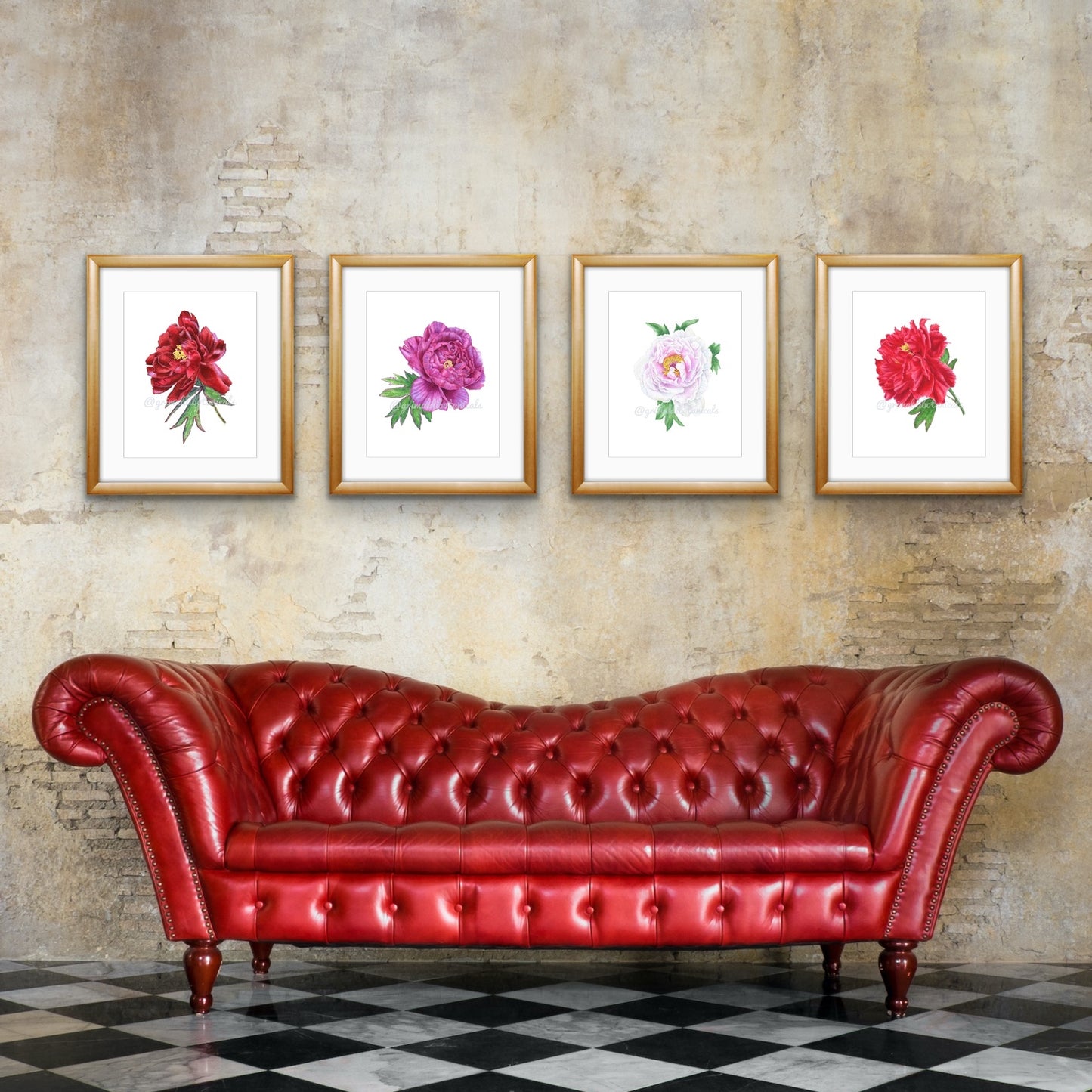 Japanese Tree Peony ‘Shimadaijin’ – Fine Art Print