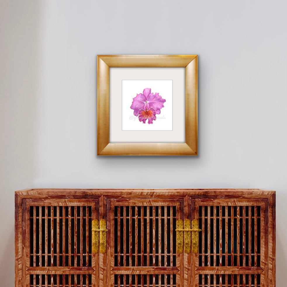 Fine Art Print Orchid II ‘Cattleya labiata’