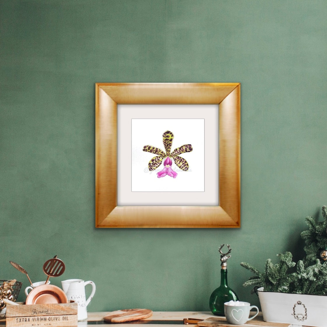 Fine Art Print Orchid I ‘Lady Ackland's Cattleya’