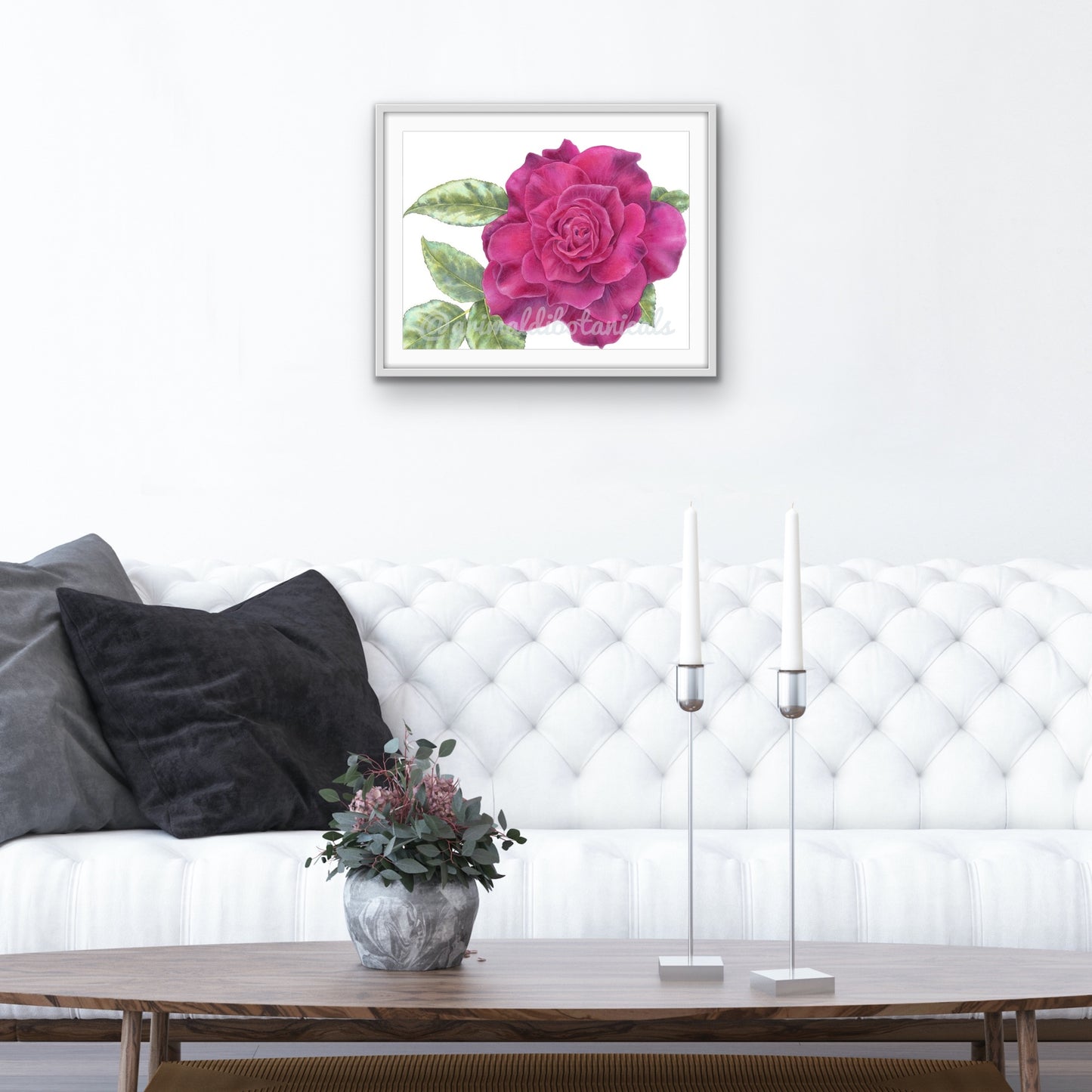 Purple Rose – Fine Art Print